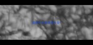 成语什么秋成语大全