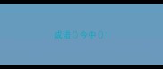 成语今中