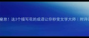 美到窒息这3个描写花的成语让你秒变文学大师附诗词美图