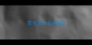 变化无什么成语