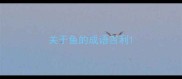 关于鱼的成语吉利