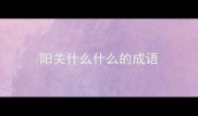 阳关什么什么的成语