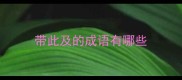 带此及的成语有哪些