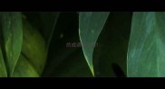 的成语开头镜