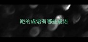 距的成语有哪些成语