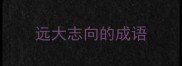 远大志向的成语