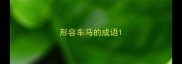 形容车马的成语