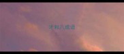 才和八成语