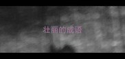 壮丽的成语