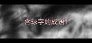 含球字的成语