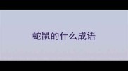 蛇鼠的什么成语