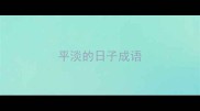 平淡的日子成语