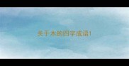 关于木的四字成语