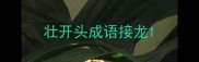 壮开头成语接龙