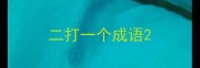 二打一个成语