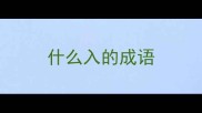 什么入的成语