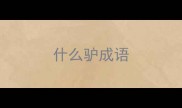 什么驴成语