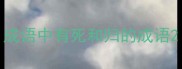 成语中有死和归的成语