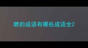 聩的成语有哪些成语全