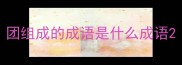 团组成的成语是什么成语