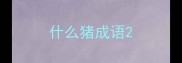 什么猪成语