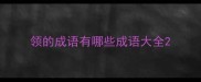 领的成语有哪些成语大全