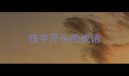 技字开头的成语