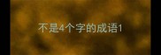 不是4个字的成语