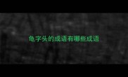 龟字头的成语有哪些成语