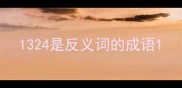 1324是反义词的成语