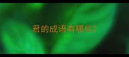 君的成语有哪些
