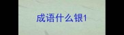 成语什么银