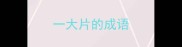 一大片的成语