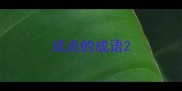 试点的成语
