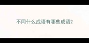 不同什么成语有哪些成语