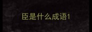 臣是什么成语