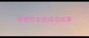 智勇双全的成语故事