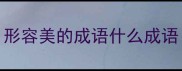 形容美的成语什么成语