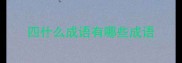 四什么成语有哪些成语