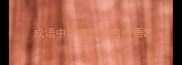 成语中带老鼠字的成语
