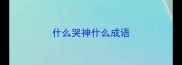 什么哭神什么成语