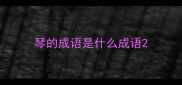 琴的成语是什么成语