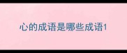 心的成语是哪些成语