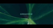 成语接龙津津乐道