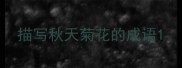 描写秋天菊花的成语
