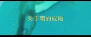 关于南的成语