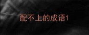 配不上的成语