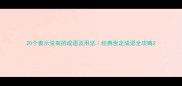 20个表示没有的成语及用法经典否定成语全攻略