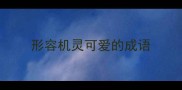 形容机灵可爱的成语