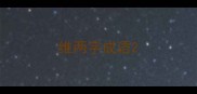 维两字成语